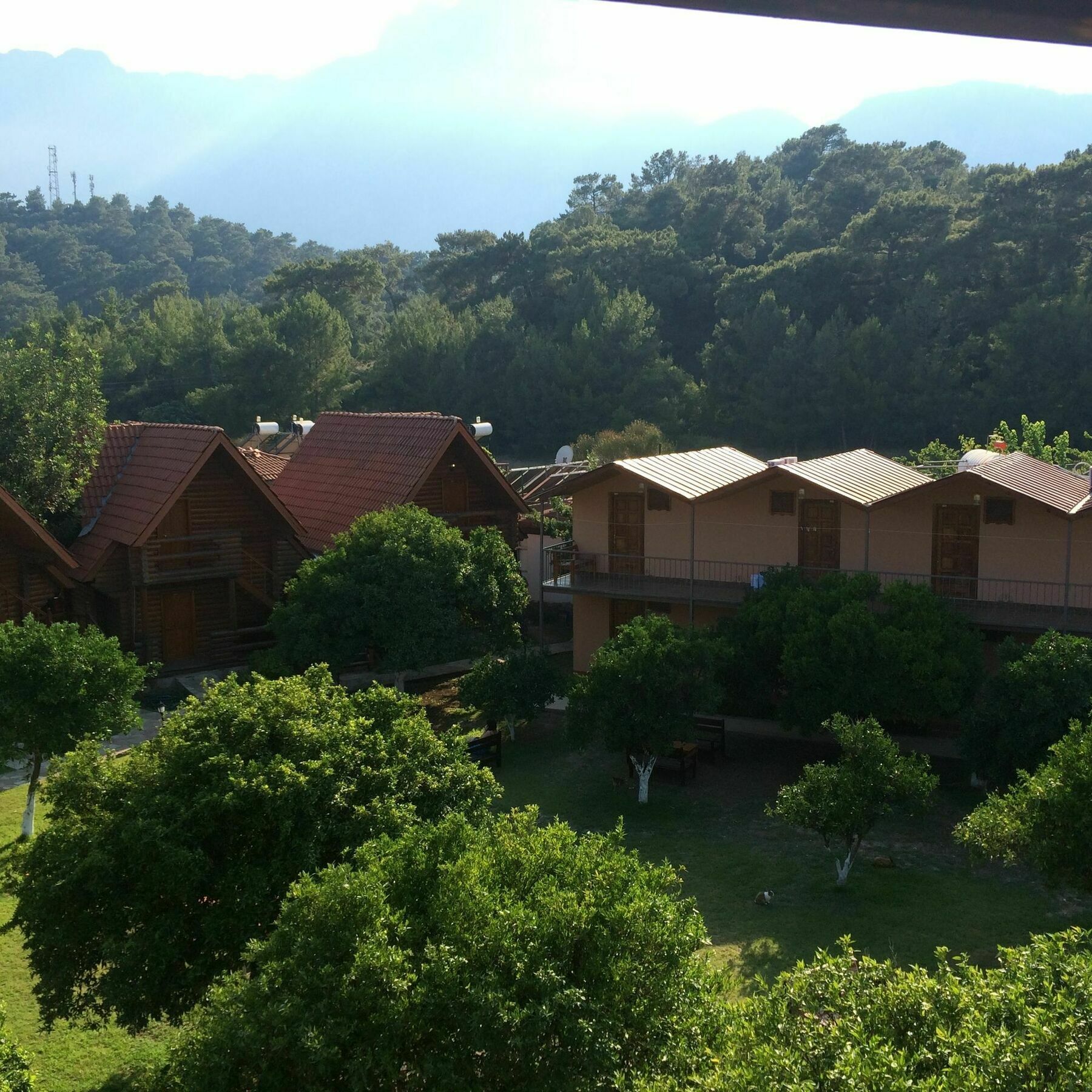 Woodline Hotel Göynük Esterno foto